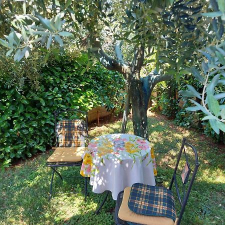 Appartamento Alida Umag Zewnętrze zdjęcie